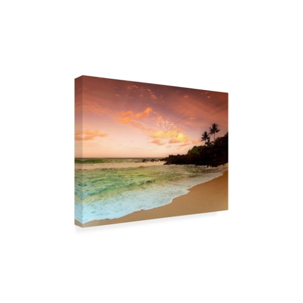 Alan Klu 'North Shore Dawn, Oahu' Canvas Art,18x24